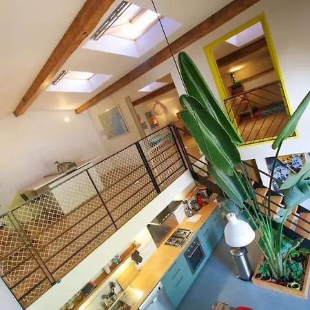 Maison D'architecte Sur Jardin Verdoyant * Pinet (Herault)