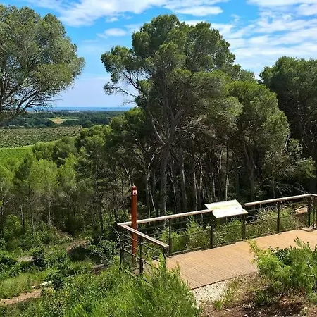 Maison D'architecte Sur Jardin Verdoyant Pinet (Herault)